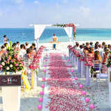 500Pcs Artificial Rose Petals With 24Pcs Steady Flameless Tea Lights Candles (Pink Lights With Pink Rose Petals)