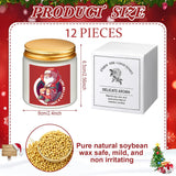 12 Pcs Funny Christmas Scented Candles Xmas Funny Gifts For Women Offensive Candles Holiday Creativity Christmas Decor 3.5 Oz Soy Wax Candle For New Year Give To Colleagues And Friends