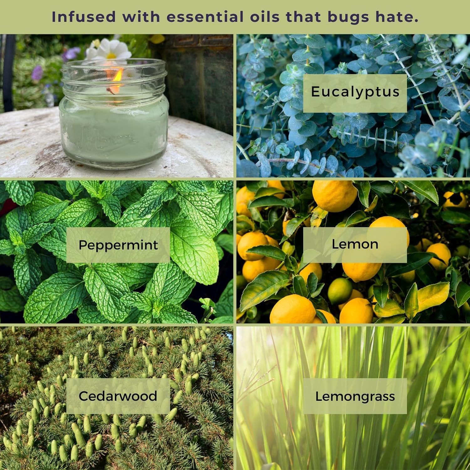 Eucalyptus Candles With Essential Oils - Made In Usa - (Set Of 3) For Patio, Deck, Outdoor Or Indoor Use – All Natural, Soy Base Candles, 3 Oz Jars With Lid