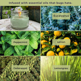 Eucalyptus Candles With Essential Oils - Made In Usa - (Set Of 3) For Patio, Deck, Outdoor Or Indoor Use – All Natural, Soy Base Candles, 3 Oz Jars With Lid