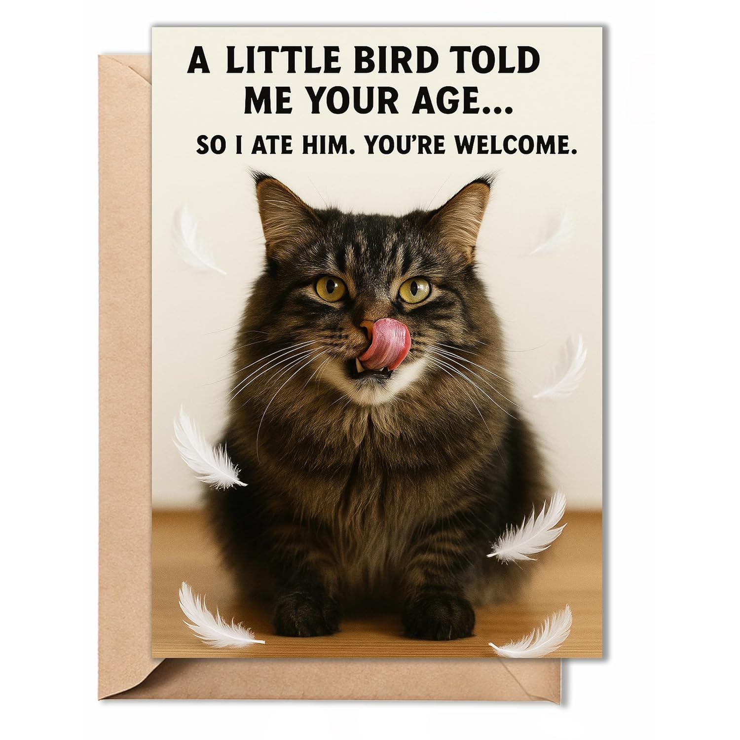 Funny Birthday Cards For Women, Men, Him, Her - Folded Card 5"X7", 350Gsm Cardstock With Sticker, Envelope - Humorous Unique Gift Cat Lover For 30Th, 40Th, 50Th, 60Th, 70Th, 80Th, 90Th, 100Th