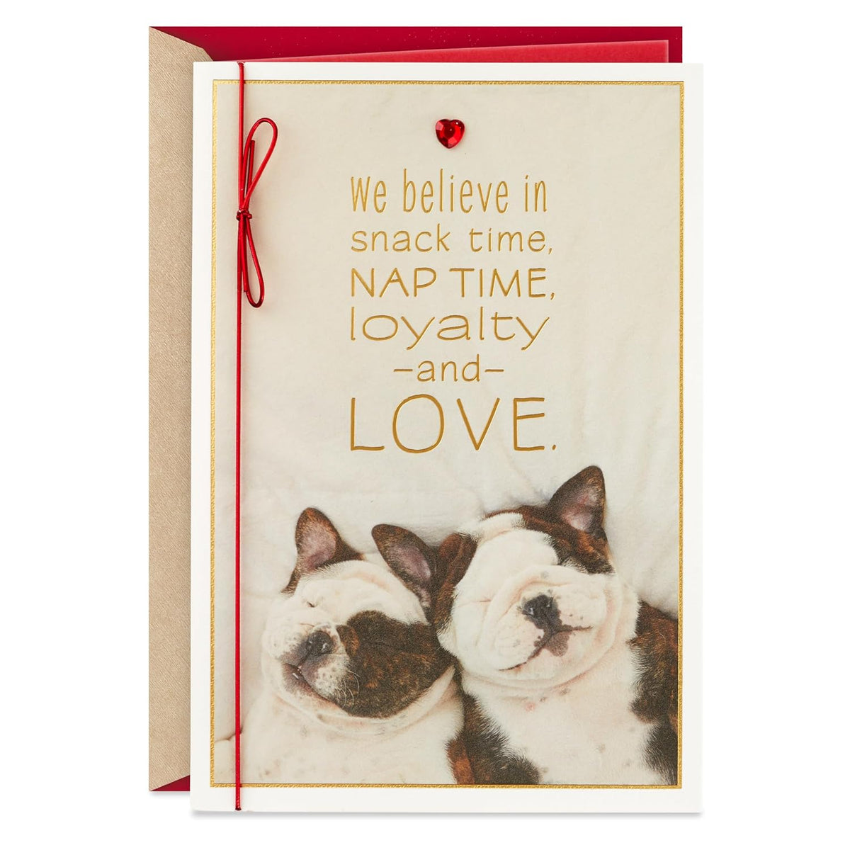 Hallmark Valentines Day Card for Husband, Wife, Boyfriend, Girlfriend (Snuggling Dogs)