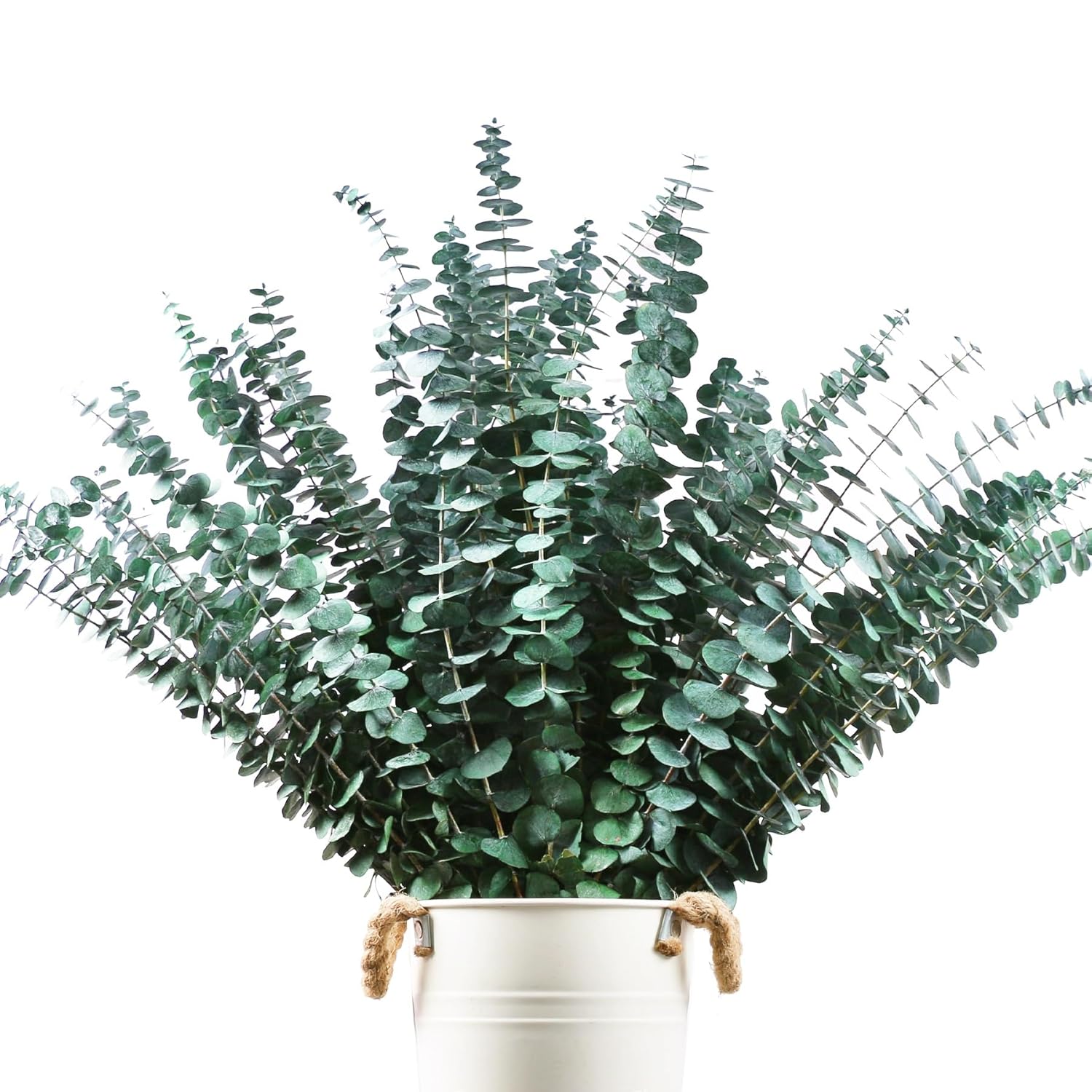 48 Pcs Large Dried Eucalyptus Stems - Natural Eucalyptus Branches For Shower Hanging, 17" Preserved Plants Steam Shower For Women And Men, Relaxation Set, Mother'S Day