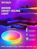 2 Pack Smart RGB LED Ceiling Lights with Alexa Remote 2400LM Flush Mount Fixtures