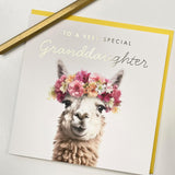 Old English Co. Llama Very Special Granddaughter Card - Llama Floral Cute Birthday Card For Her - Cute Well Done Congratulations Cards For Granddaughter From Grandparents | Blank Inside Envelope…