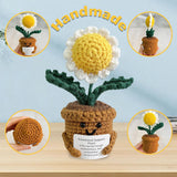 Adorable Crochet Positive Sunflower/Peony/Daisy Plants,Thank You For Helping Me Grow,Appreciation Gift For Coworker/Teacher/Parents,Crochet Plant Desk Decor For Office