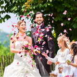 800 Pieces Faux Flowers Silk Rose Petals Burgundy Flower Petals For Valentines Wedding Flower Basket Romantic Dinner Table Centerpieces Bridal Shower Party Decor (Pink Series)