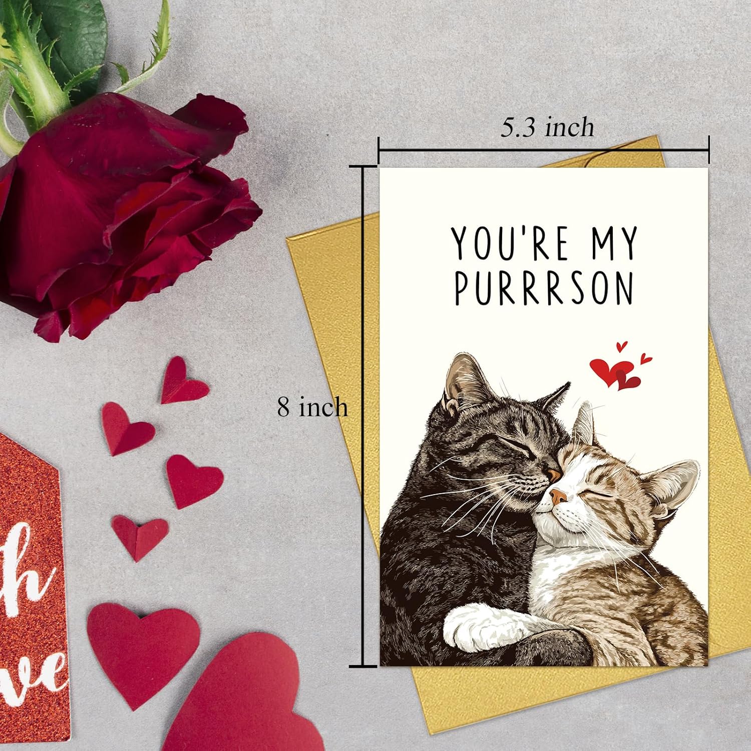 Cute Cat Valentines Day Card, Funny Valentines Day Card For Cat Lover, Lovely Anniversary Cards For Man Woman, You'Re My Purrrson