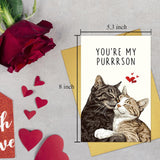 Cute Cat Valentines Day Card, Funny Valentines Day Card For Cat Lover, Lovely Anniversary Cards For Man Woman, You'Re My Purrrson
