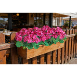 6Pcs Artificial Geranium Bush Decorative Silk Flower Artificial Plant For Outdoors Or Indoor (Wine Red)