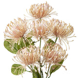 33" Pink Artificial Mums Flowers Sping Summer Chrysanthemum Flowers 2Pcs Fake Spider Mum Flower Arrangement Faux Pincushion Flower With 3 Heads Long Stem Bouquet Home Decor