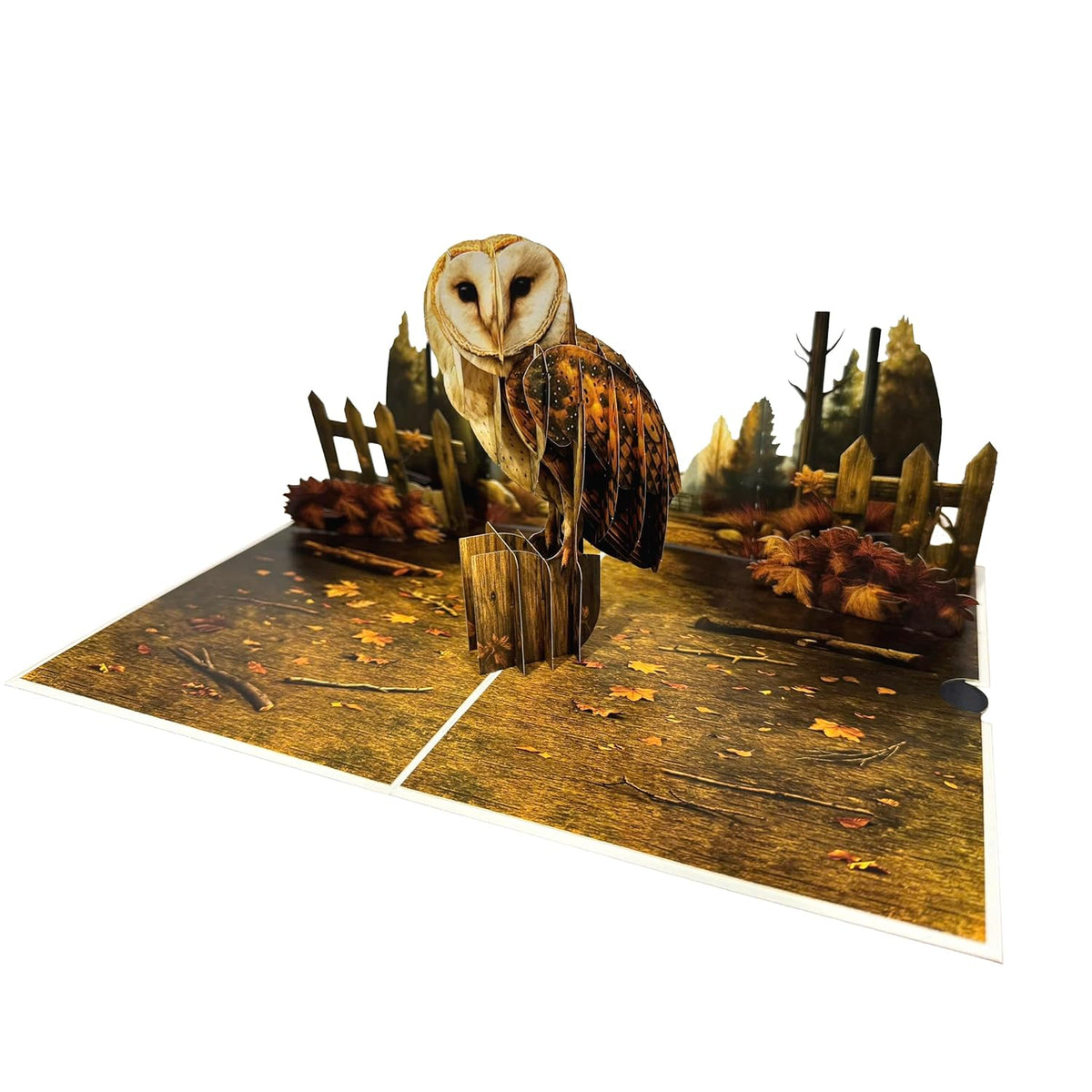 3D Owl Pop-Up Card – Handmade Bird-Themed Paper Art For Birthday, Anniversary, Christmas, Father’S Day – Unique Gift For Him, Her, Dad, Mom, Son, Daughter, Owl Lover