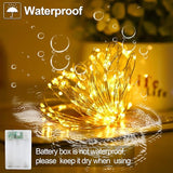 2 Pack Battery Operated Fairy Lights 33FT 100 LED Warm White Mason Jar String Lights with Timer Waterproof for DIY Party Decor