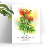 Marigold Quilling Card For October Birthday, Floral, 5In X 7In