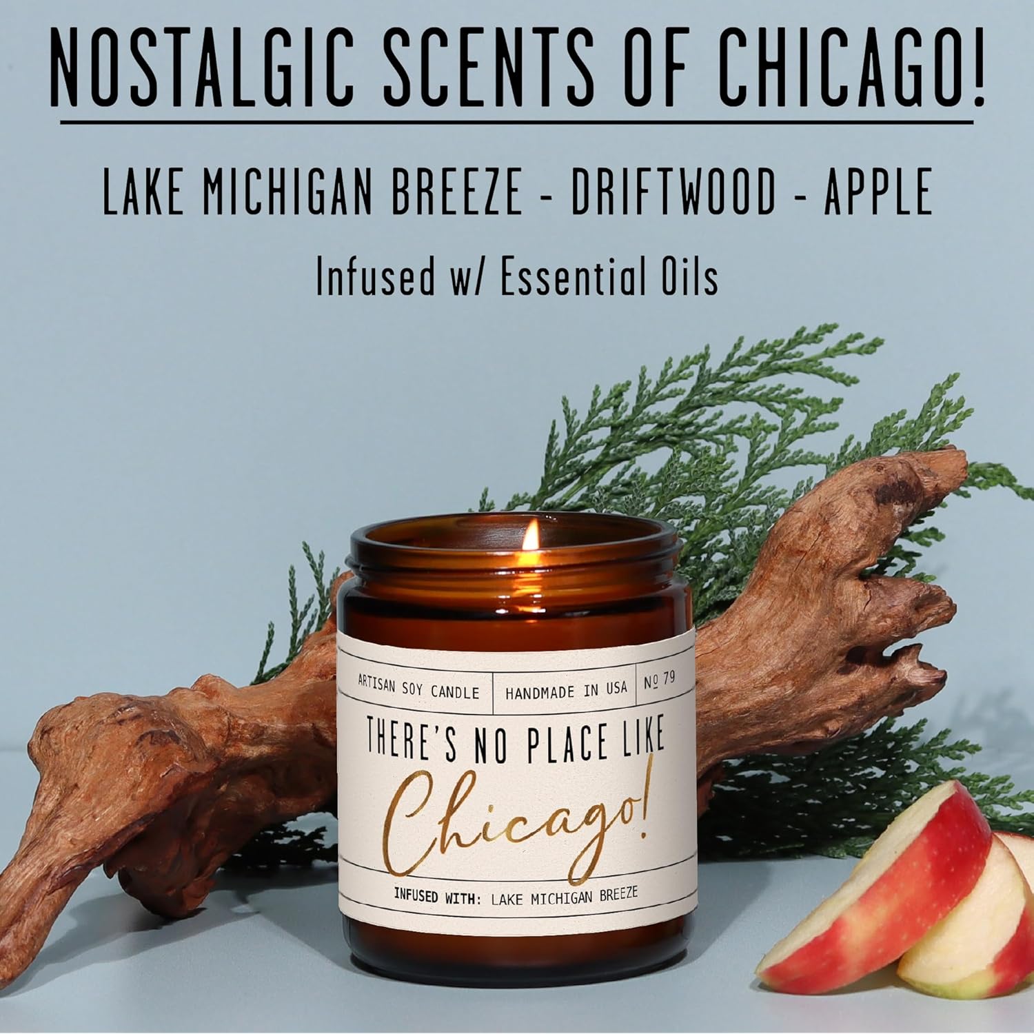 Chicago Gifts, Chicago Decor For Home - 'There'S No Place Like Chicago Candle, W/Lake Breeze & Apple I Chicago Souvenirs I 9Oz Jar, 50Hr Burn, Made In Usa