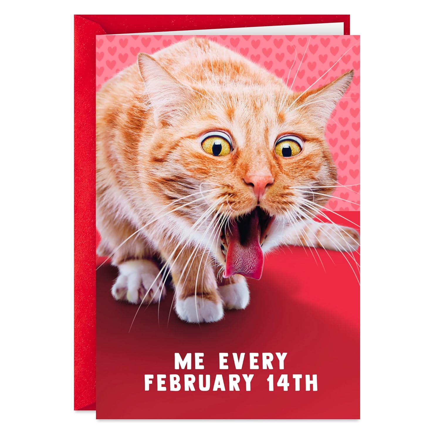 Hallmark Shoebox Funny Anti-Valentines Day Card (Cat Hairball)