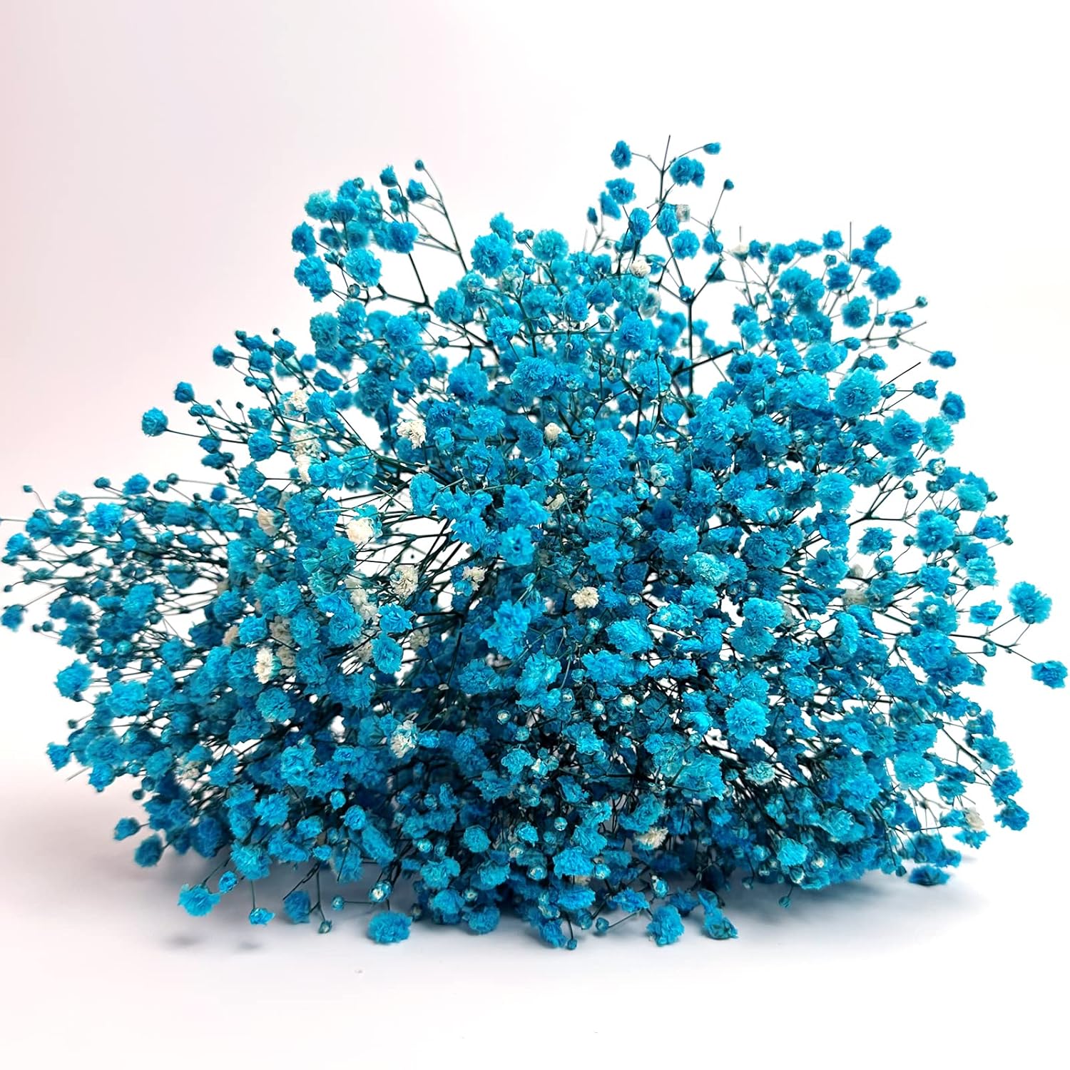 Preserved Baby'S Breath 3 Bunches, 100% Natrual Fresh Gypsophila Long Lasting Flowers For Vase Arrangements Home Decoration Photo Props Parties And Weddings, Diy Décor-Light Blue
