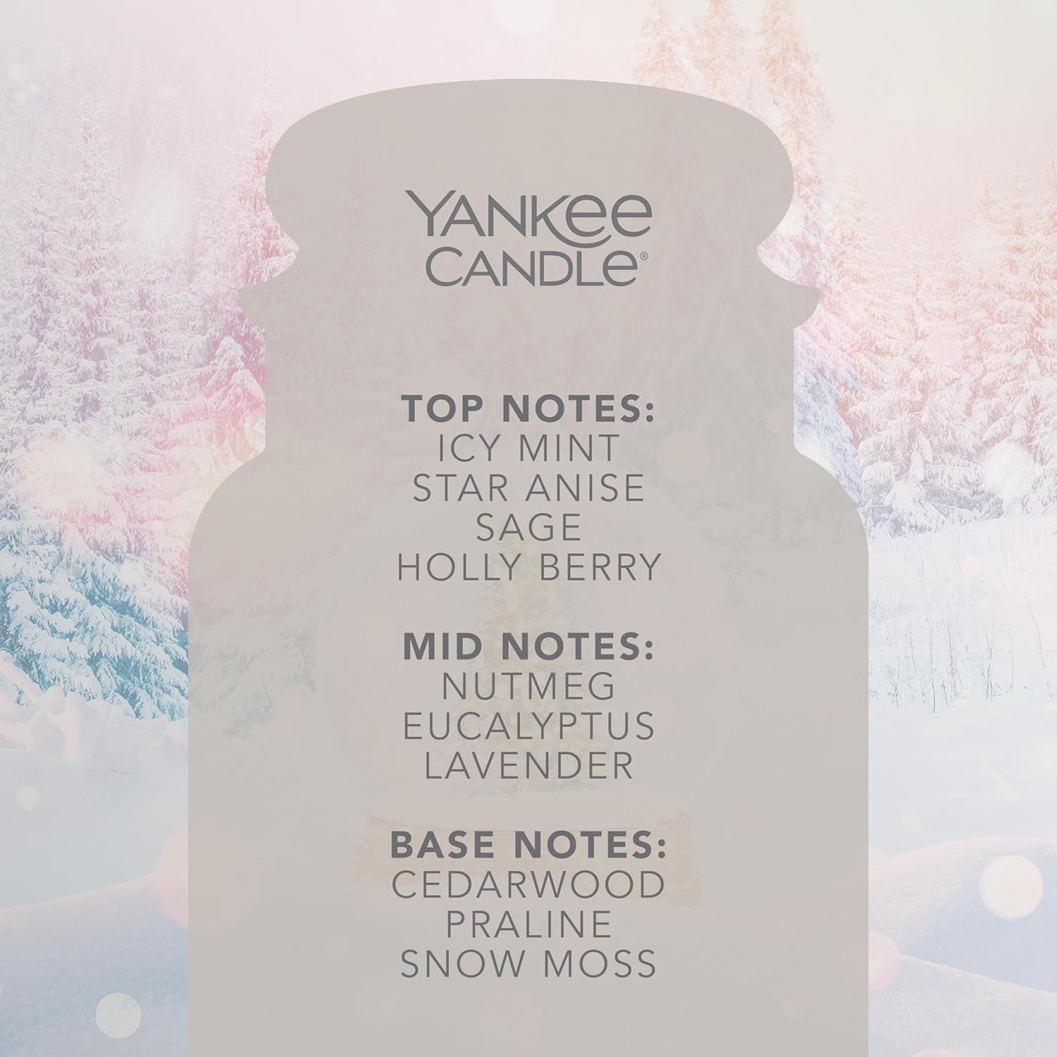 Yankee Candle Scented Candle | Snow Globe Wonderland Large Jar Candle | Burn Time: up to 150 Hours for Women