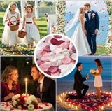 200Pcs Large Silk Rose Petals Artificial Scatter Flower Petals With Gift Box For Bridal Shower Romantic Night Wedding Aisle Reception Table Centerpieces Decor