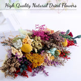 24 Pcs Dried Flowers Bouquet Boho Mini Dried Flower With Stem Small Floral Plants Mixed Natural Flowers Bundles For Crafts Vase Diy Photo Props Wedding Decoration