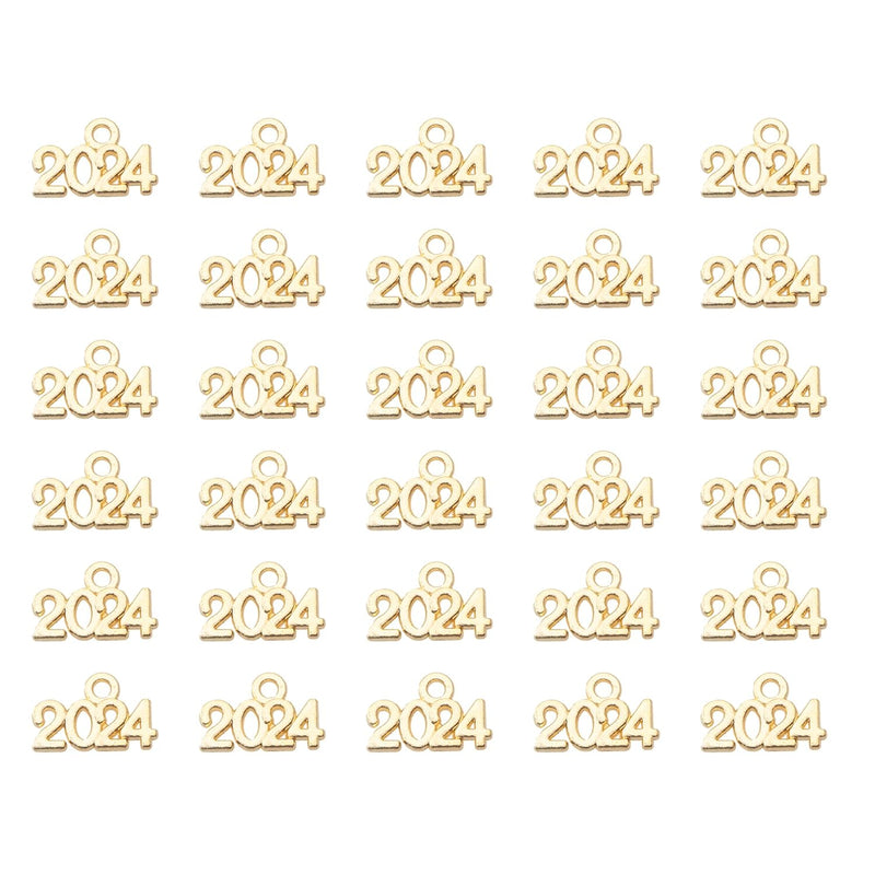 50 Pcs 2024 Year Charms Mini Metal Signet Cute Pendants For Jewelry Making Kit