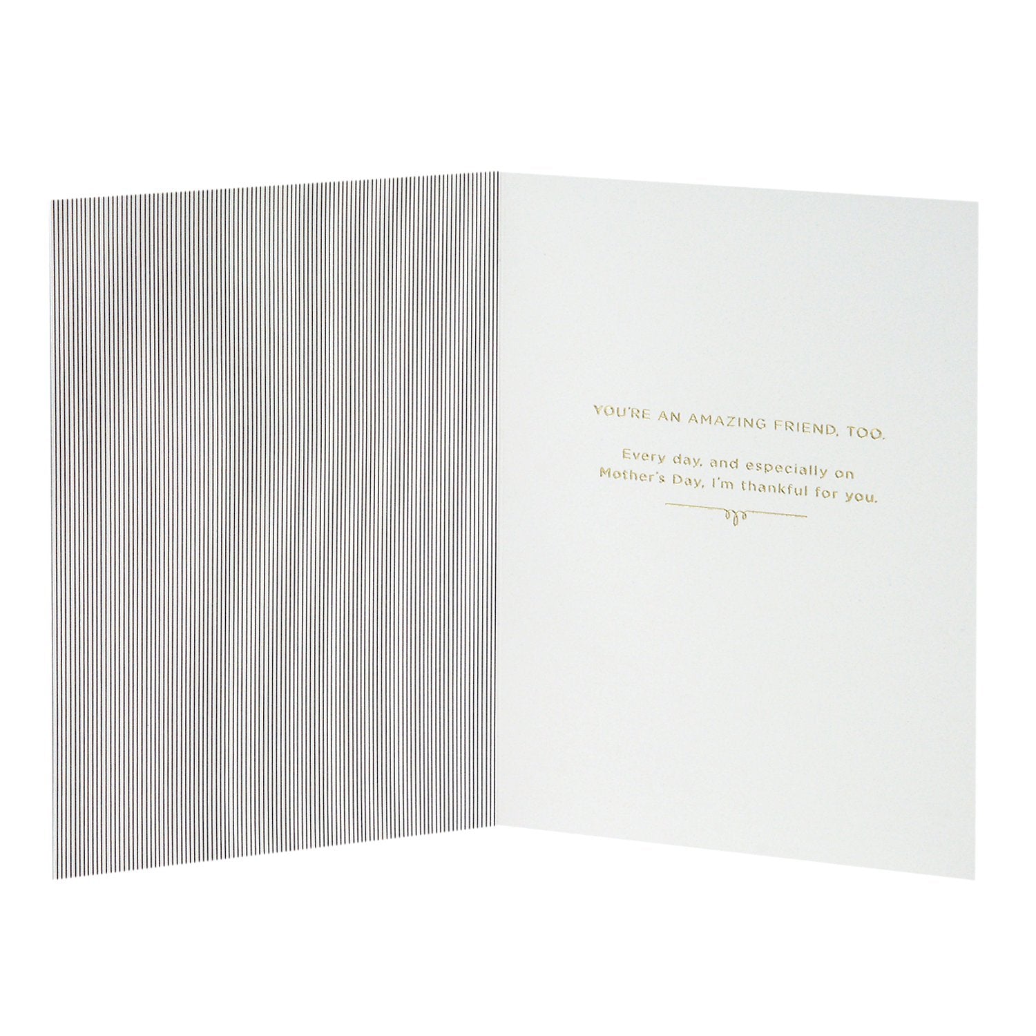 Hallmark Signature Mother's Day Card for Mom (My Mom and Amazing Friend) (0699MBC8665)