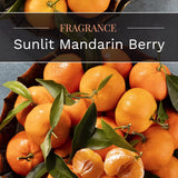 Scented Sunlit Mandarin Berry Fragrance, One 10Oz. 3-Wick Aromatherapy Candle With 20-40 Hours Of Burn Time, Orange Color, 10 Oz. Jar