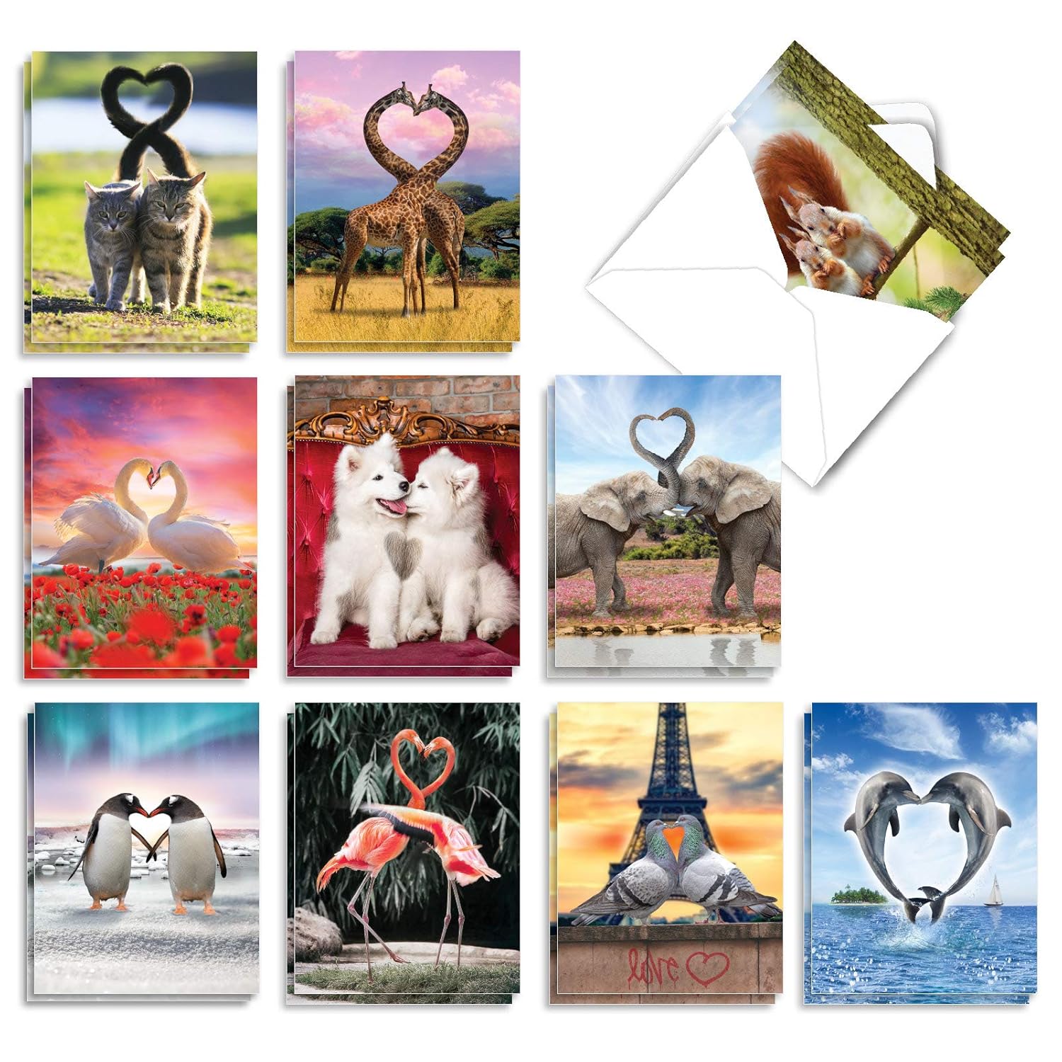 - 20 Assorted Bulk Animal Cards Boxed (4 X 5.12 Inch) (10 Designs, 2 Each) - Loving Animals Am3504Ocb-B2X10