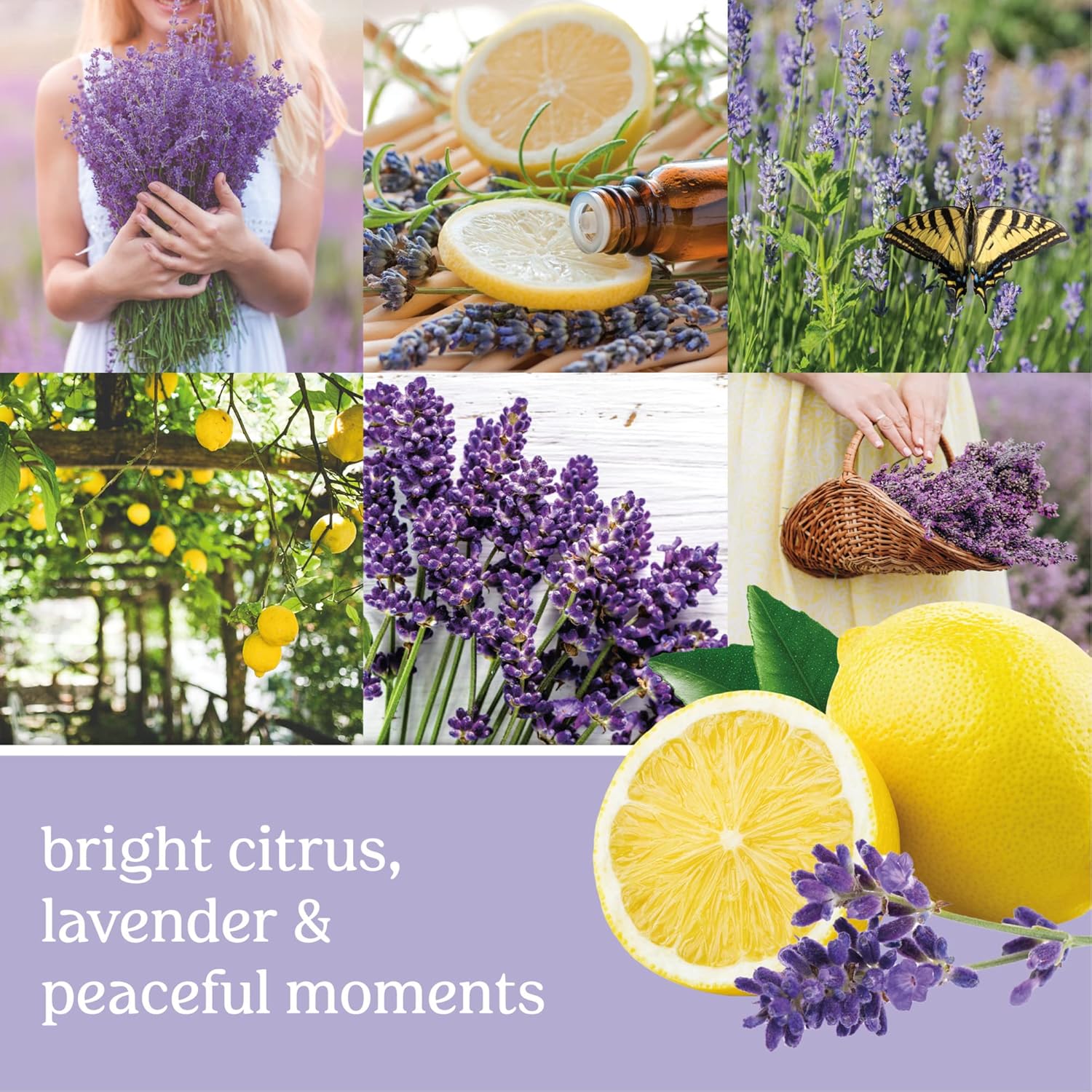 Yankee Candle Lemon Lavender Scented, Signature 20oz Large Jar 2-Wick Candle, Over 60 Hours of Burn Time