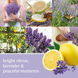 Yankee Candle Lemon Lavender Scented, Signature 20oz Large Jar 2-Wick Candle, Over 60 Hours of Burn Time