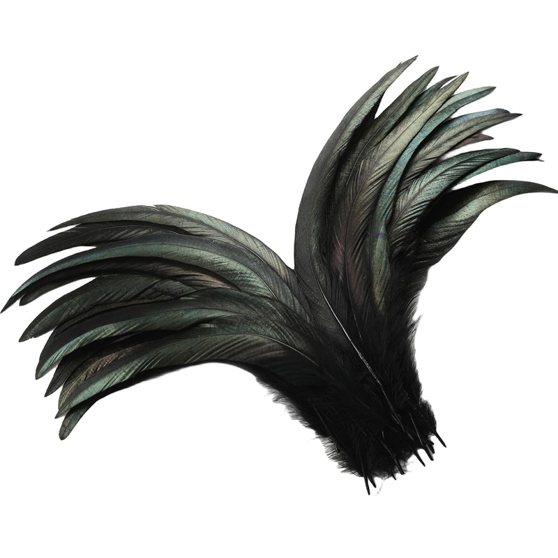 Black Rooster Tail Feathers - 60Pcs 12-14Inch Natural Long Rooster Tail Feathe