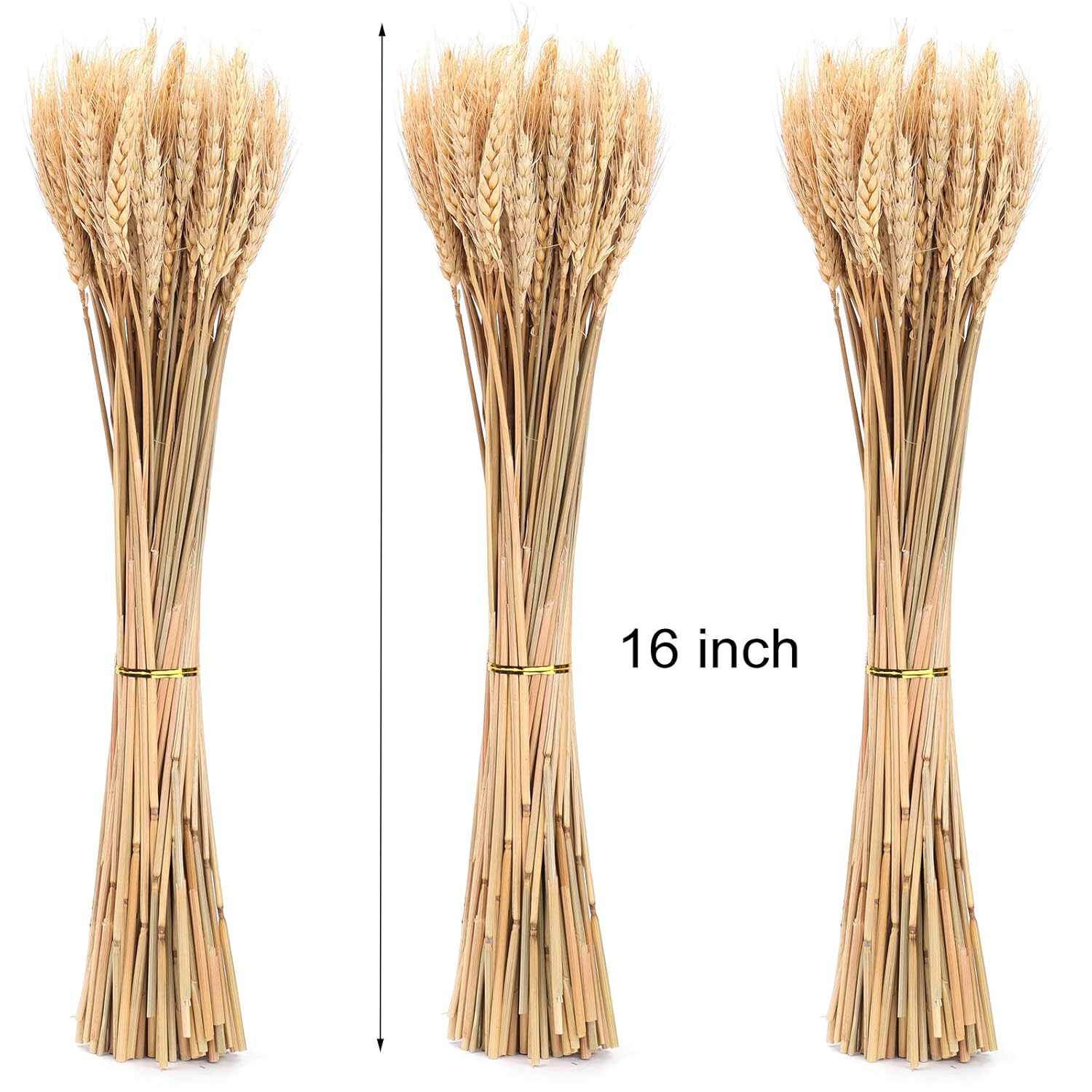300 Stems 16 Inch Dried Wheat Sheaves, Natural Wheat Stalks Bundle Fall Arrangement For Diy Craft, Home Table, Wedding