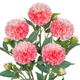 5Pcs Dahlia Artificial Flowers 24.8" Pink Fake Ball Dahlias Silk Flowers Faux Roses Flower With Long Stems For Diy Wedding Bouquets Table Centerpieces Arrangements Bridal Party Home Decor