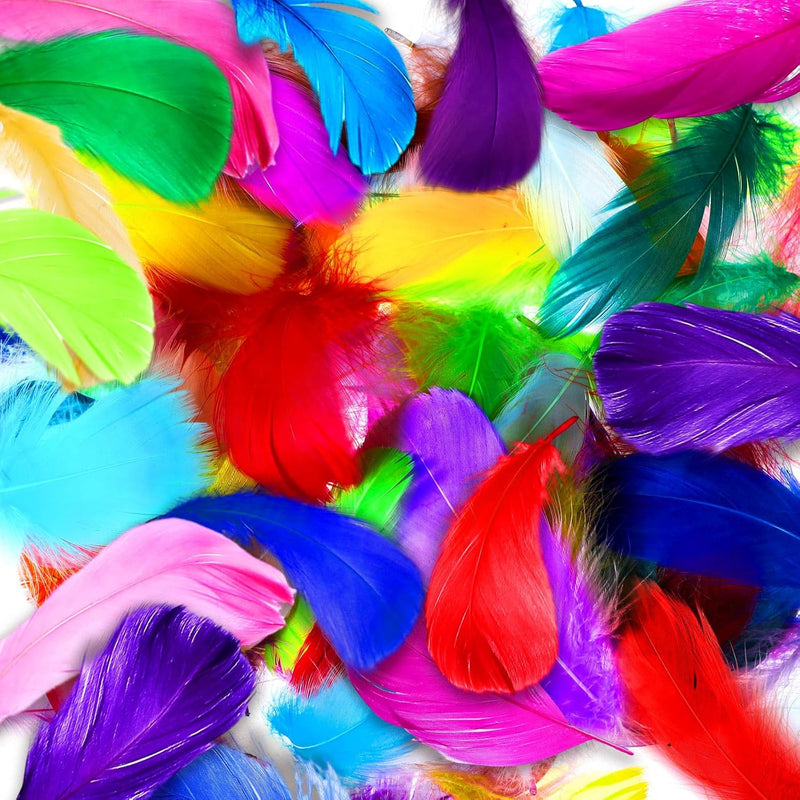 3000 Pcs Colorful Feathers Bulk 3-5 Inch Feathers For Crafts Rainbow Craft Fea