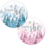 Baby It'S Cold Outside Gender Reveal, Winter Evergreen Trees Team He Or Team She Stickers - Pink Blue Snow Themed Party Decorations - 40 Count