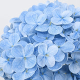 4 Pcs Blue Hydrangea Artificial Flowers, Latex Real Touch Hydrangea Flowers, 19.6'' Full Faux Hydrangea Flowers Fake Flowers For Home Decor Party Wedding Centerpiece Bouquet Floral Arrangements