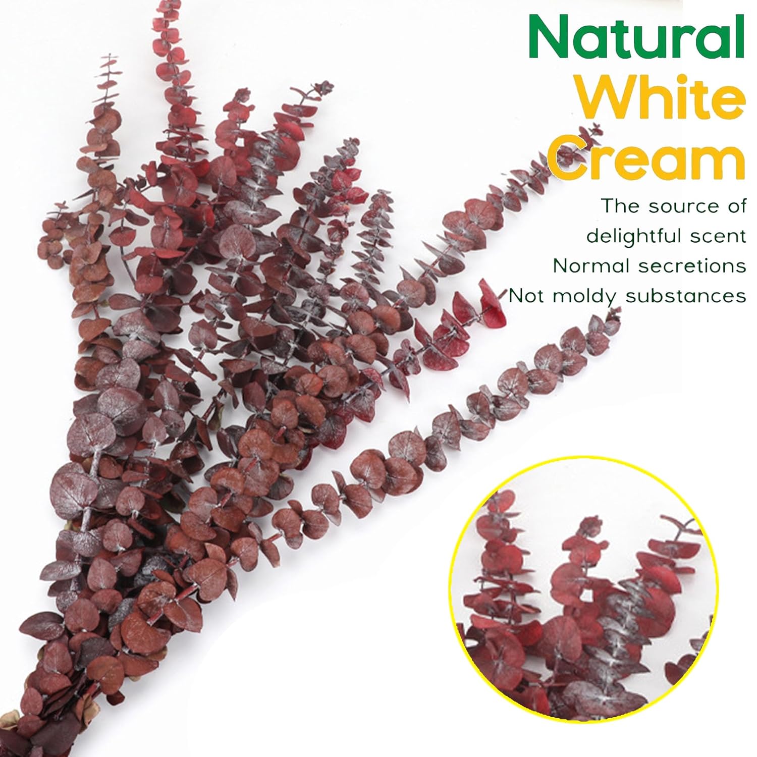 20Pcs Dried Red Eucalyptus Stems 17" Natural Fresh Eucalyptus Plant For Shower Hanging, Wedding Decor Home Decor Farmhouse Decor Diy Spring Decor,Green