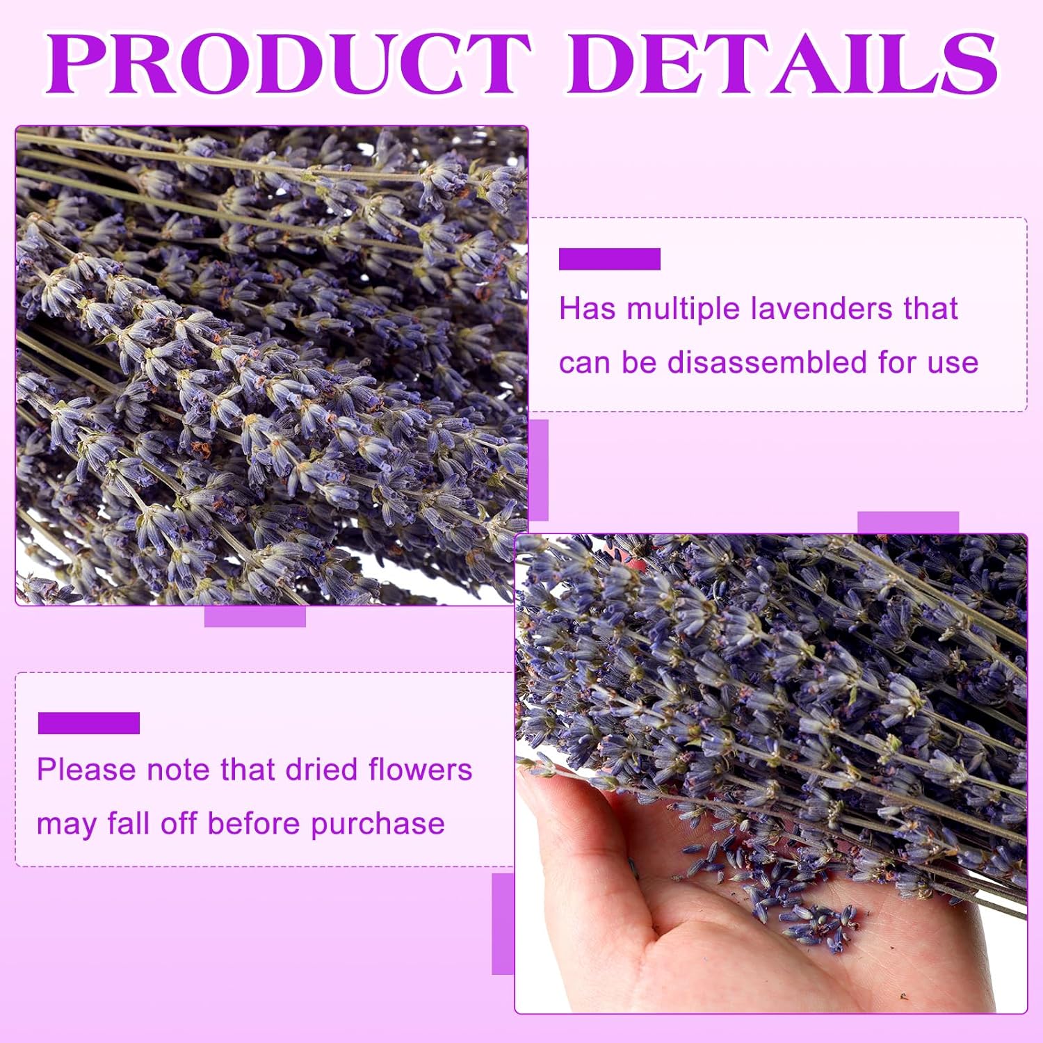12 Pack Total 2280 Stems Dried Lavender Bundle Bulk Organic Lavender Flowers Decor Natural Dried Purple Flowers Bunches For Bathroom Shower Diy Arrangements Wedding Home Party Decorations