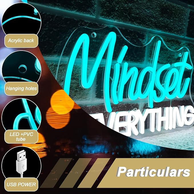 Mindset Is Everything Neon Sign USB Dimmable LED Wall Light for Office Gym Classroom Bedroom Decor