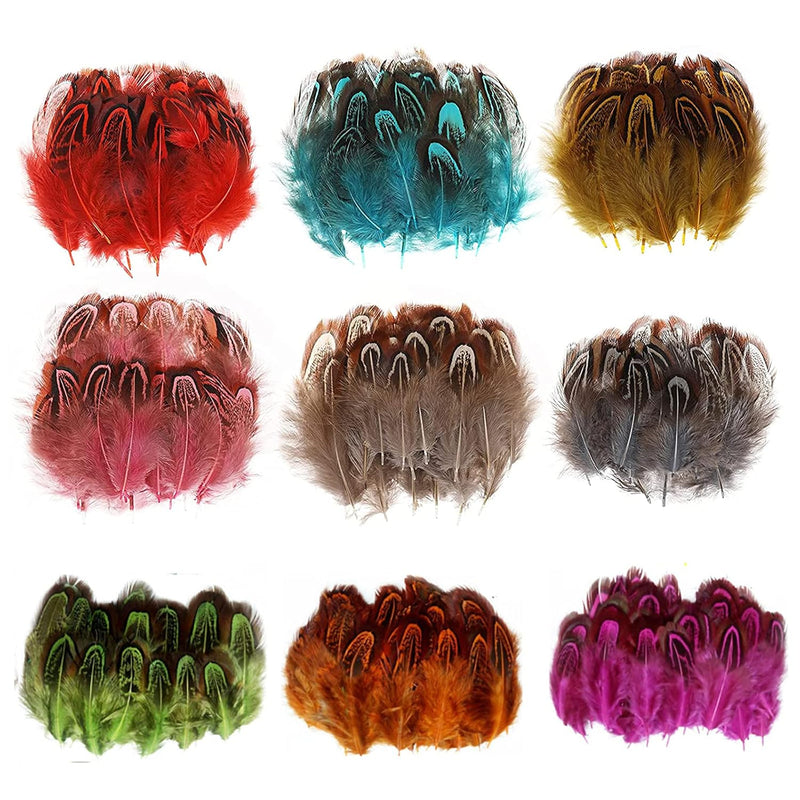 Pack Of 180 Crafts Art Coloured Feathers, 4-8Cm Mini Pheasant Feathers For Diy