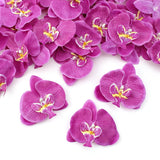 50Pcs Orchid Petals Artificial Orchid Flower Heads Faux Silk Phalaenopsis Butterfly Flower Heads For Diy Craft Home Wedding Party Decorations (50Pcs Purple)…