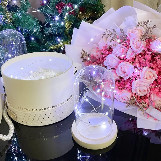 10 Pack Battery Operated Fairy Lights 3.3FT 10 LED Cool White Copper Wire Mini String Lights for Wedding Gift Box Christmas Party Decor