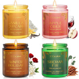 Winter Scented Candles, Holiday Candles For Home, Aromatherapy Soy Candles Gifts Set For Women Men, Vanilla/Fir/Apple Cider/Winter Holiday