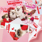 Treasure Cove Valentines Day Puppy Kitten Cards Dog Greeting Cards with Envelopes and Stickers for Kids Classroom Exchange Favors 12Pcs