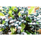 Artificial Flowers California Faux Blueberries Artificial Blueberry Stems For Decorating Blueberry Picks Fruit Fake Silk Flowers Home Decorative Party Wedding (20 Pack)