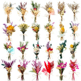 24 Pcs Dried Flowers Bouquet Boho Mini Dried Flower With Stem Small Floral Plants Mixed Natural Flowers Bundles For Crafts Vase Diy Photo Props Wedding Decoration