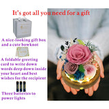 Long-Lasting Real Flowers, Unique Floral Gift For You To Send Love For All Occasions, For Indoor Decoration (Sweet Pink Rose Arrangement)