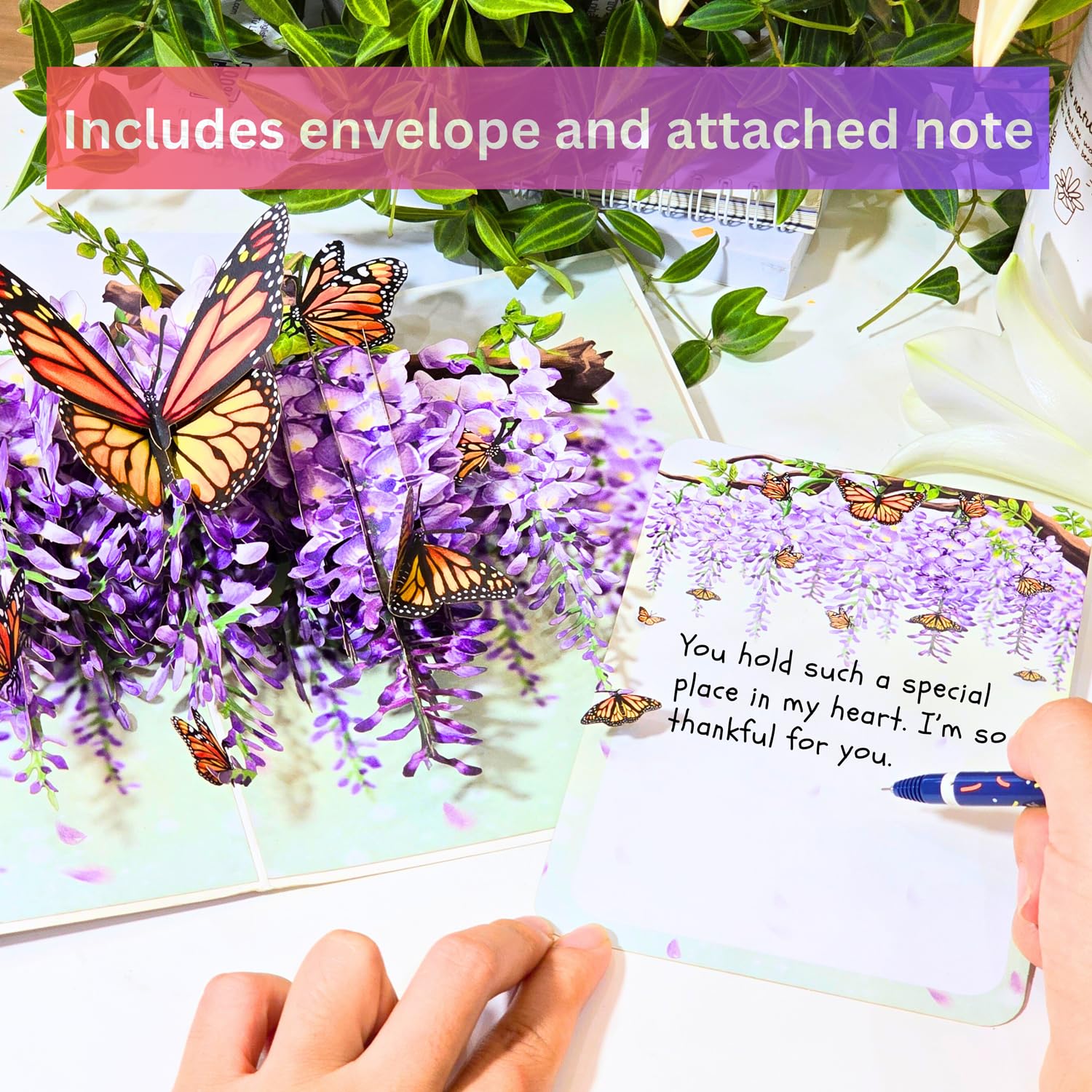 - Pop Up Birthday Card For Women, Butterfly Wisteria Pop Up Birthday Card For Mom, Wife, Sister, Daughter, Grandma, 6X8 In 3D Popup Greeting Cards Includes Envelope And Message Note