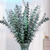 21 Pcs Real Dried Eucalyptus Stems, 17" Natural Fresh Eucalyptus Branches For Shower, Greenery Leaves For Vase Filler, Fragrance, Fresh Silk Dry Live Plants Decor