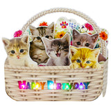 Musical Cat Birthday Pop-Up Card With Led Lights – 2 Happy Birthday Songs Meows & Violin – Cute Kittens In Flower Basket – Light Up 3D Greeting Card For Cat Lovers, Kids, Women, Friends